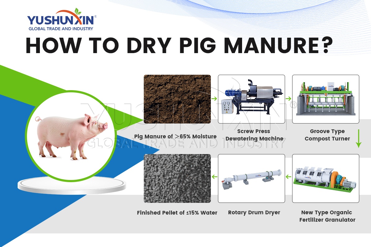 Enhancing Farm Productivity with Pig Manure Processing Equipment ...